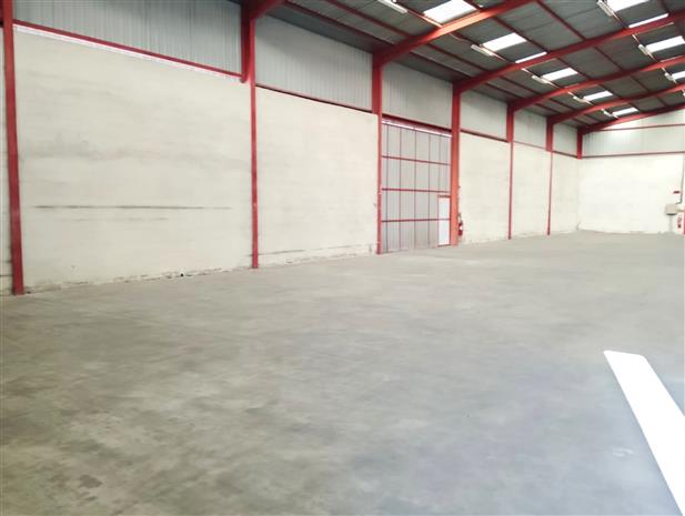 Local d'activités Vente 81150 LABASTIDE DE LEVIS