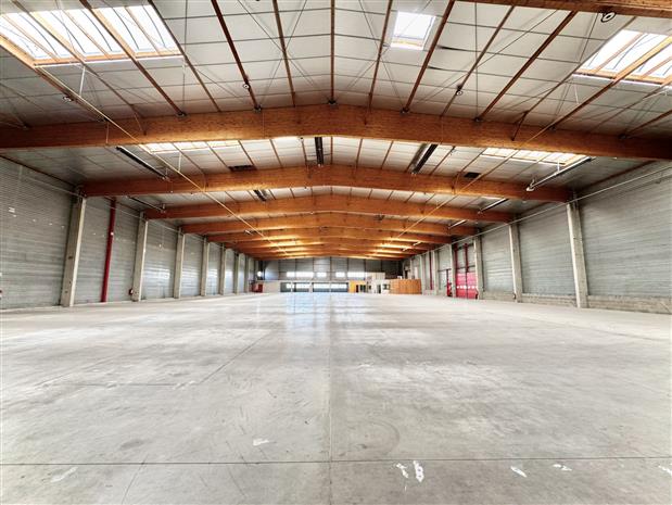 Local d'activités Location 01390 ST ANDRE DE CORCY