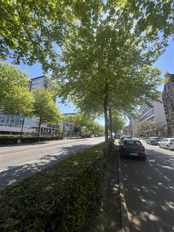 Bureau Vente 59100 ROUBAIX