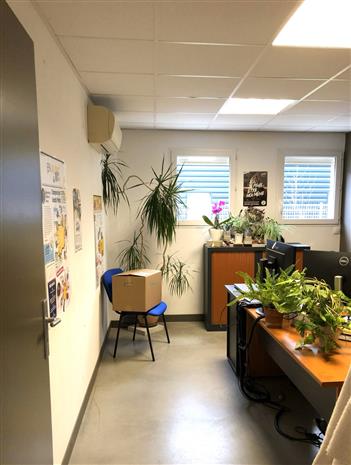 Local d'activités Location 31830 PLAISANCE DU TOUCH