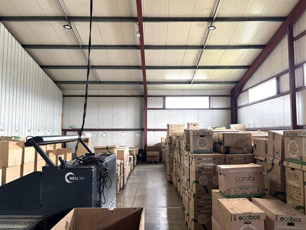 Local d'activités Vente 31410 NOE