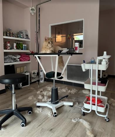 Bureau Location 59650 VILLENEUVE D'ASCQ