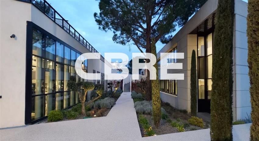 Chargement de l'image...