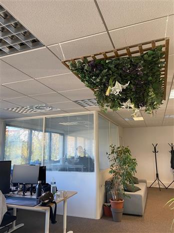 Bureau Location 34000 MONTPELLIER 219 RUE LE TITIEN