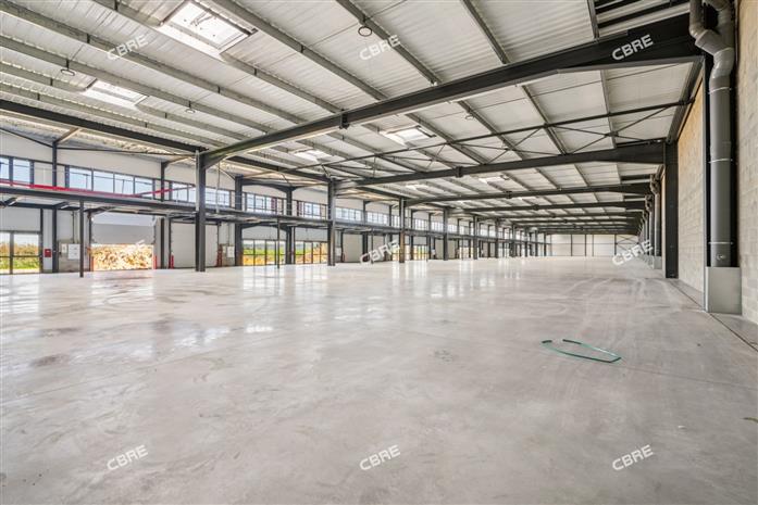 Local d'activités Vente 91630 AVRAINVILLE