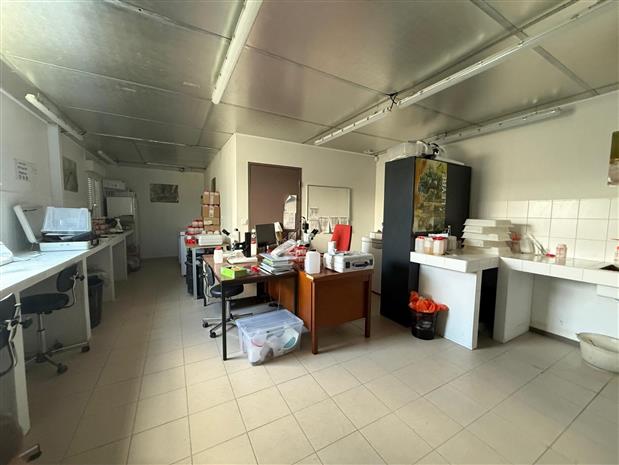 Local d'activités Vente 33750 BEYCHAC ET CAILLAU