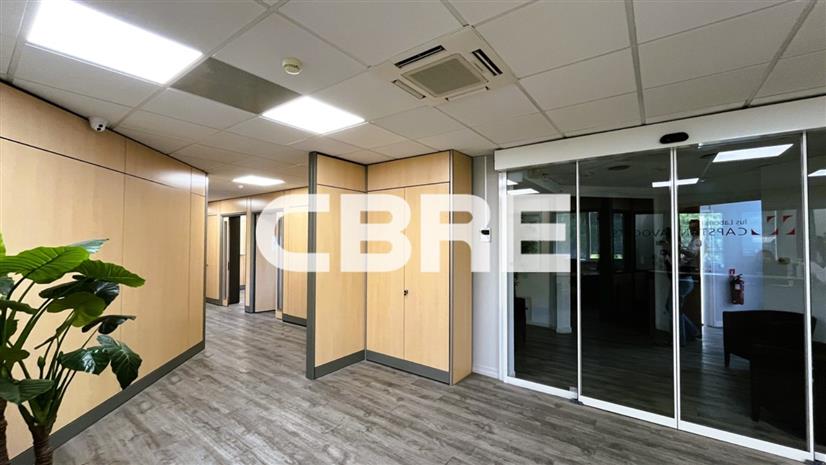 Chargement de l'image...