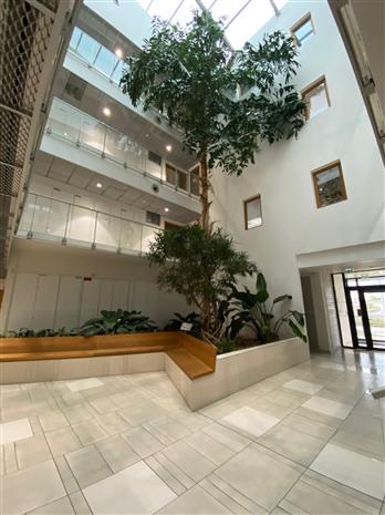 Bureau Location 34000 MONTPELLIER 55 RUE EUCLIDE