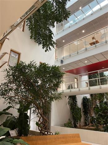 Bureau Location 34000 MONTPELLIER 55 RUE EUCLIDE