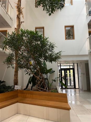 Bureau Location 34000 MONTPELLIER 55 RUE EUCLIDE