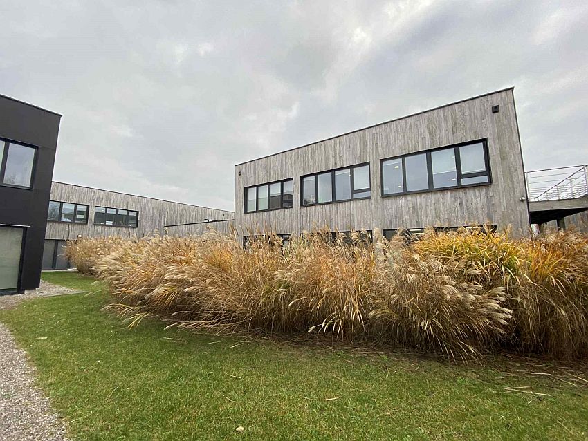 Chargement de l'image...