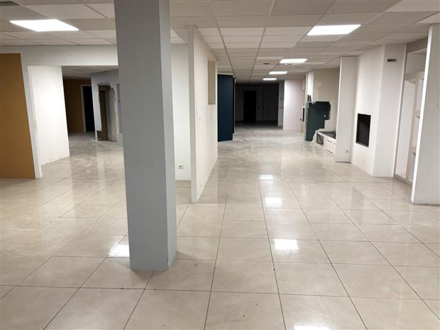 Local d'activités Location 31120 PORTET SUR GARONNE