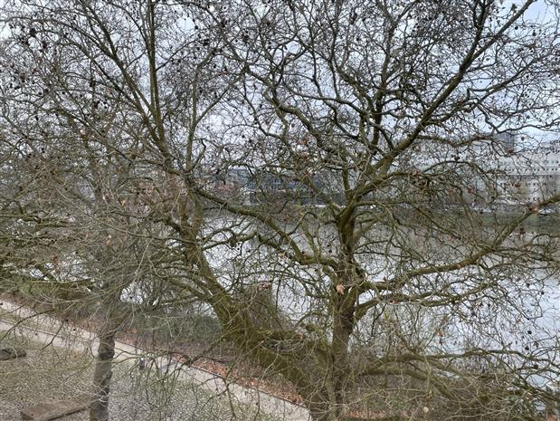 Bureau Location 44200 NANTES 1 RUE MICHEL COLUMB