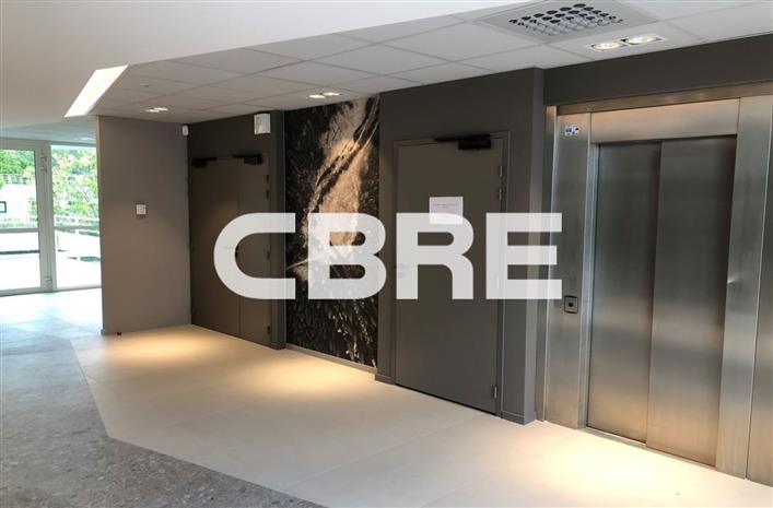 Chargement de l'image...