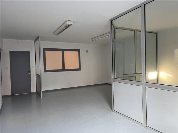 Local d'activités Location 69100 VILLEURBANNE