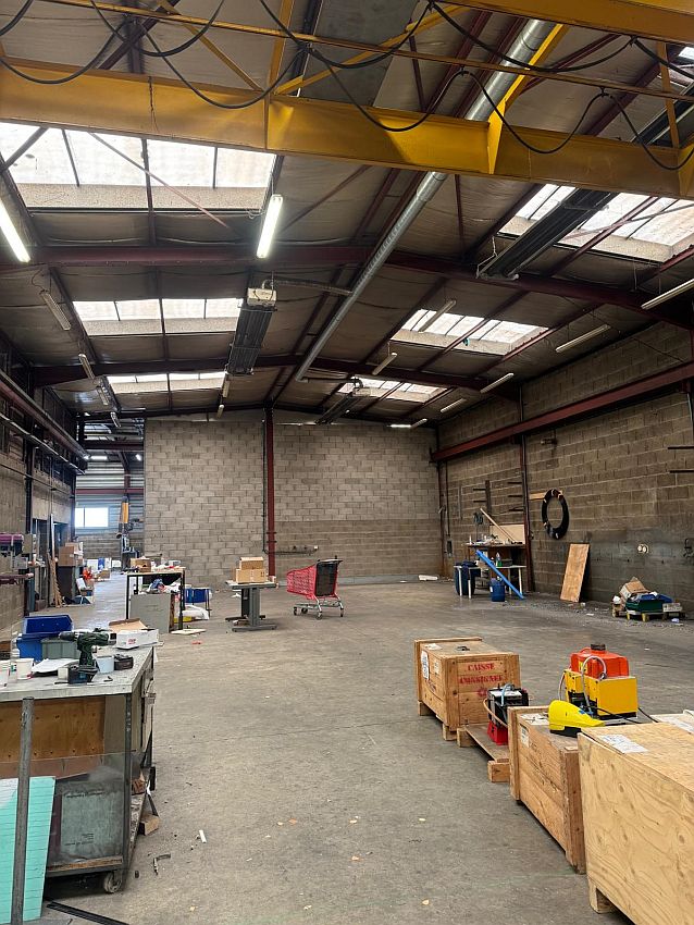 Local d'activités Vente 69410 CHAMPAGNE AU MONT D'OR