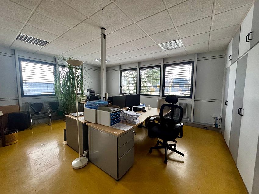 Local d'activités Vente 69410 CHAMPAGNE AU MONT D'OR