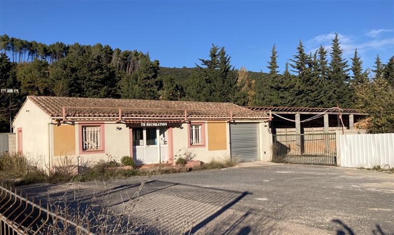 Chargement de l'image...