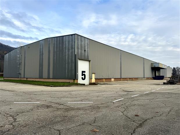 Local d'activités Vente 69700 GIVORS