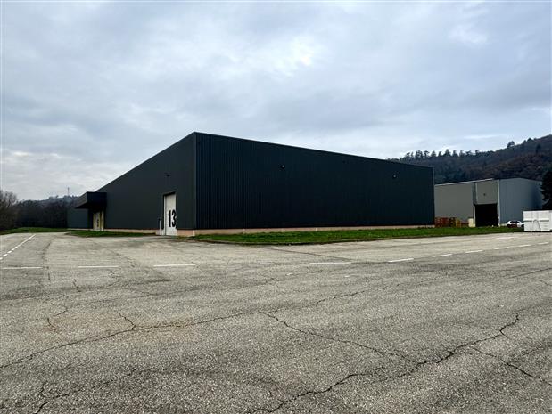 Local d'activités Vente 69700 GIVORS
