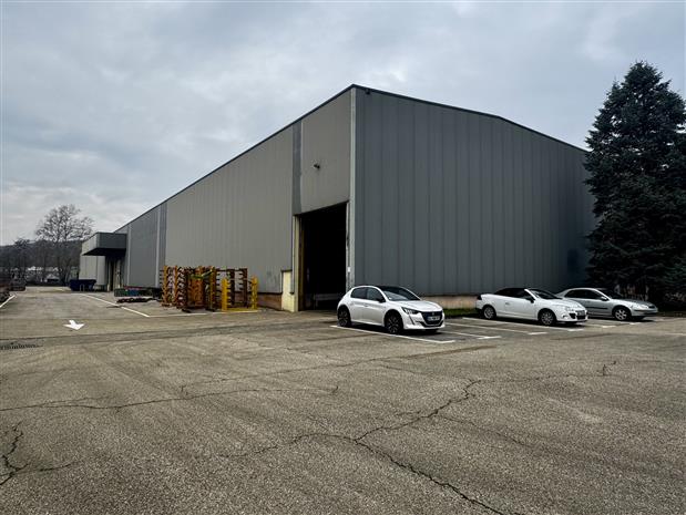 Local d'activités Vente 69700 GIVORS