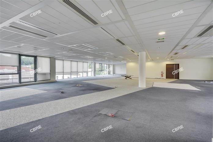 Bureau Location 75019 PARIS  RUE SIGMUND FREUD