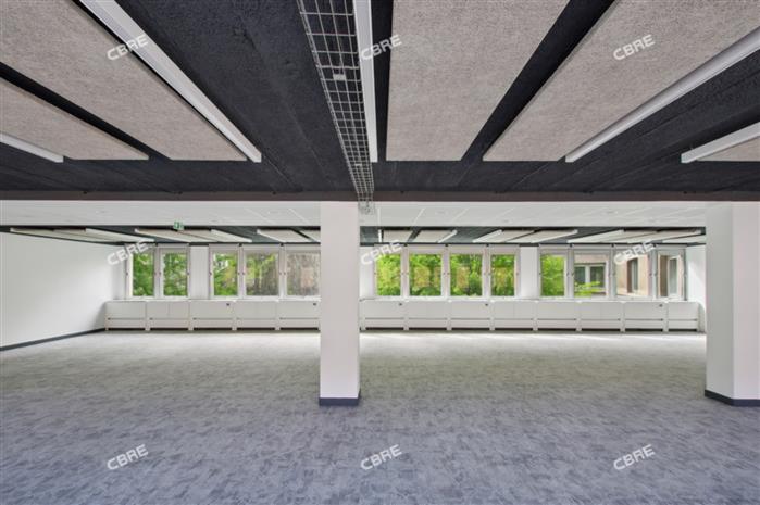 Chargement de l'image...