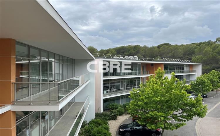 Chargement de l'image...