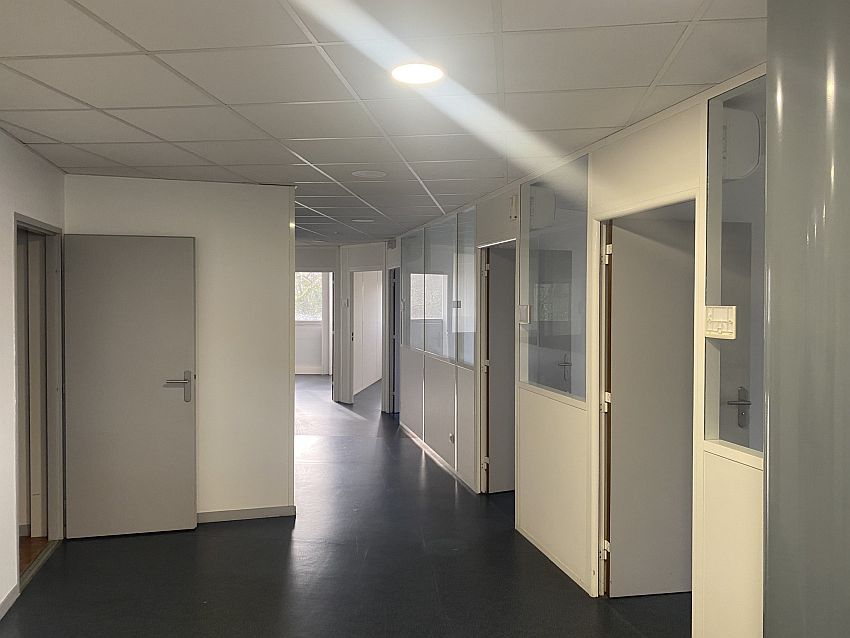 Local d'activités Location 33170 GRADIGNAN