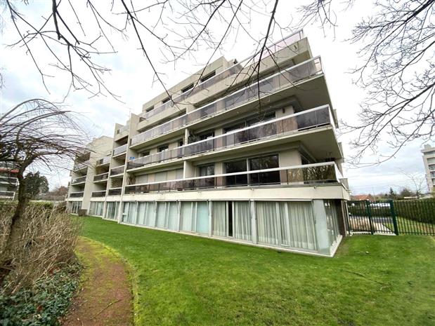 Chargement de l'image...