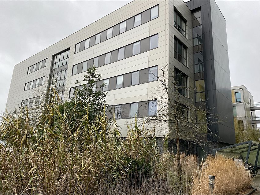 Chargement de l'image...