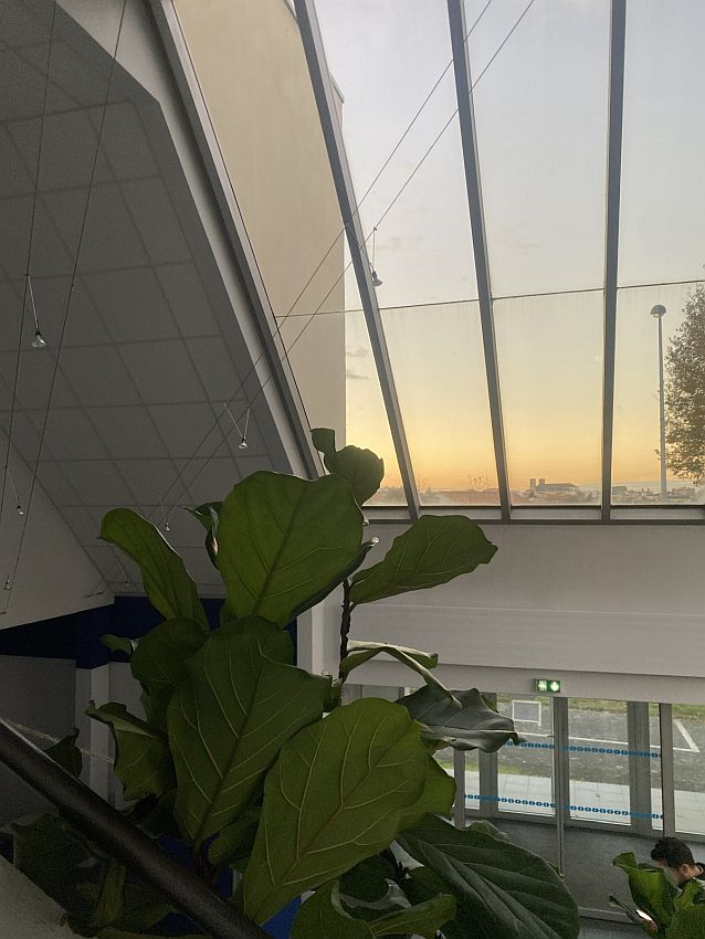 Bureau Vente 85000 LA ROCHE SUR YON 14 RUE MONTESQUIEU