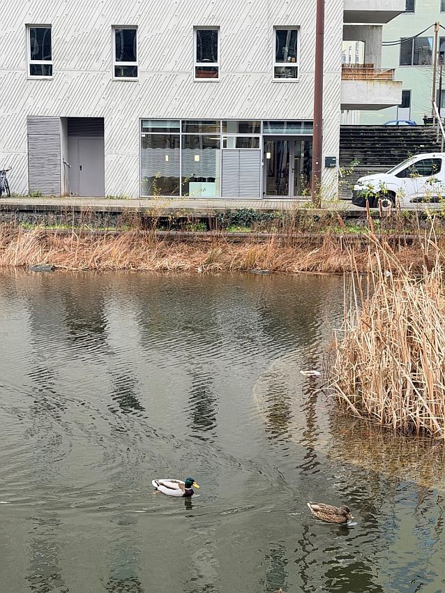 Bureau Location 44000 NANTES 11B PROMENADE EUROPA