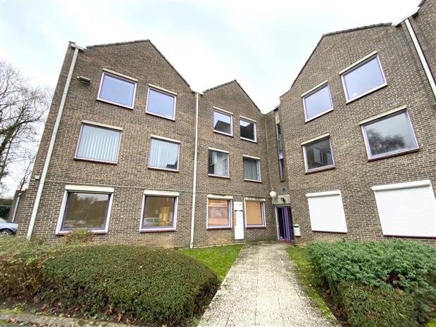 Chargement de l'image...