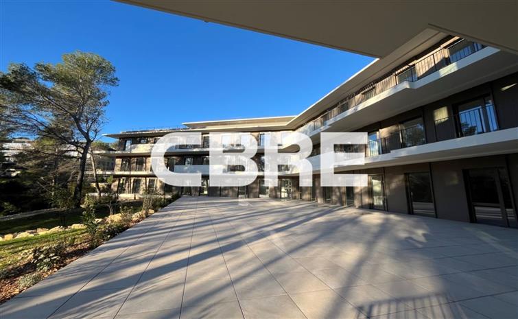 Chargement de l'image...