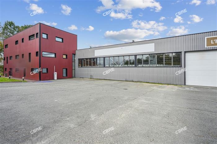 Chargement de l'image...