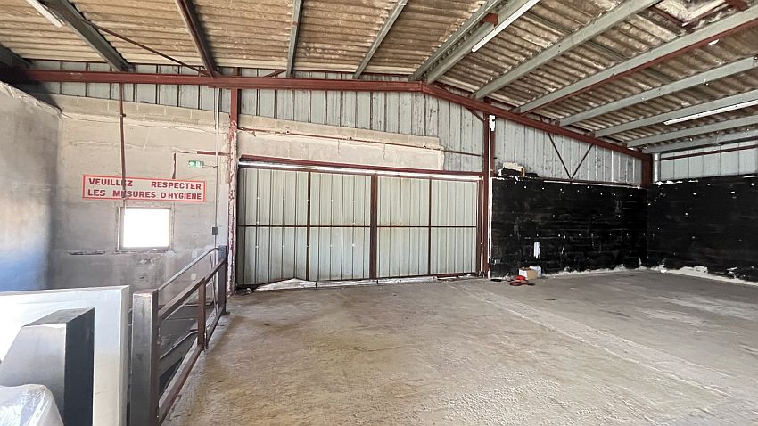 Local d'activités Location 06150 CANNES