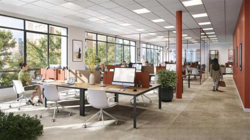 Chargement de l'image...