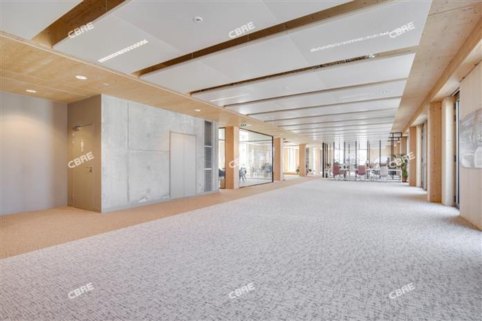 Chargement de l'image...