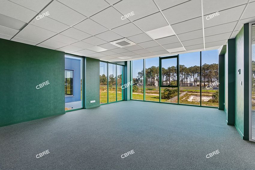 Local d'activités Vente 33380 MIOS