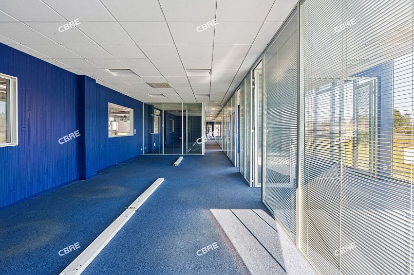 Local d'activités Location 33380 MIOS