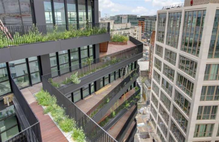 Chargement de l'image...