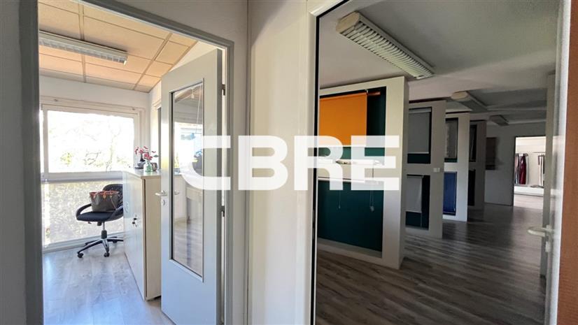 Chargement de l'image...