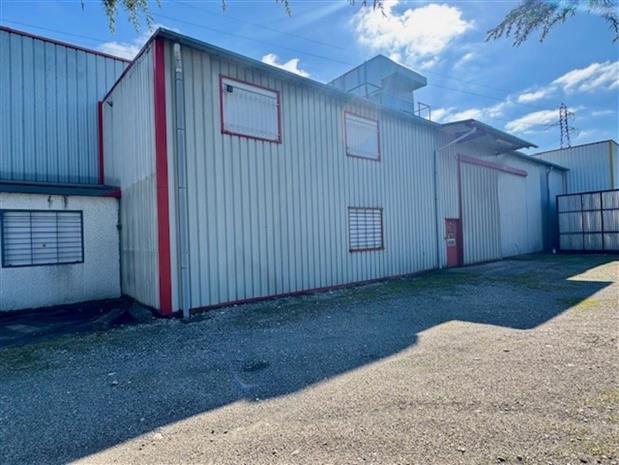 Local d'activités Vente 69100 VILLEURBANNE