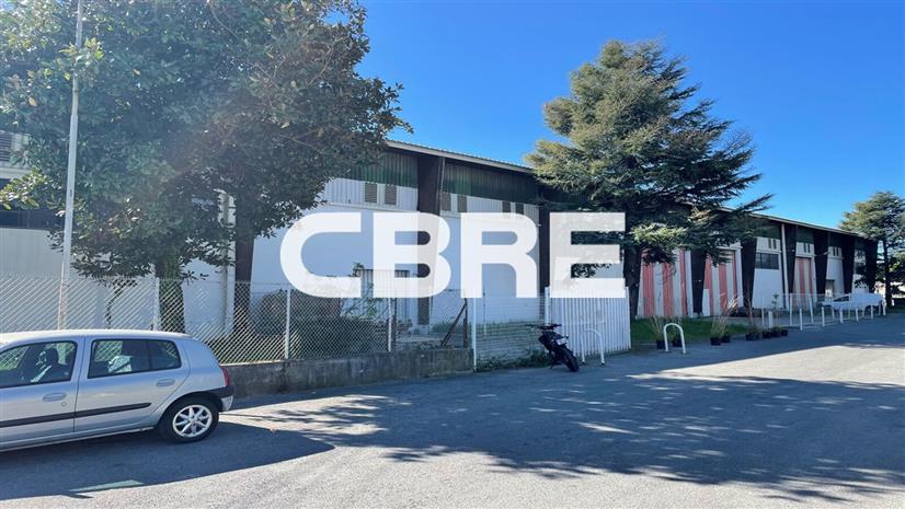 Local d'activités Location 06150 CANNES