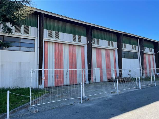 Local d'activités Location 06150 CANNES