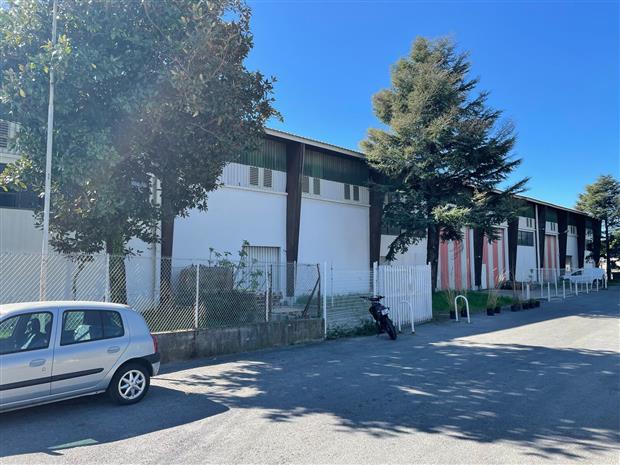 Local d'activités Location 06150 CANNES