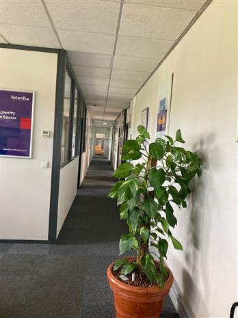 Bureau Location 69500 BRON 4 RUE EDISON