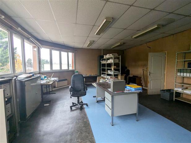 Local d'activités Location 77186 NOISIEL