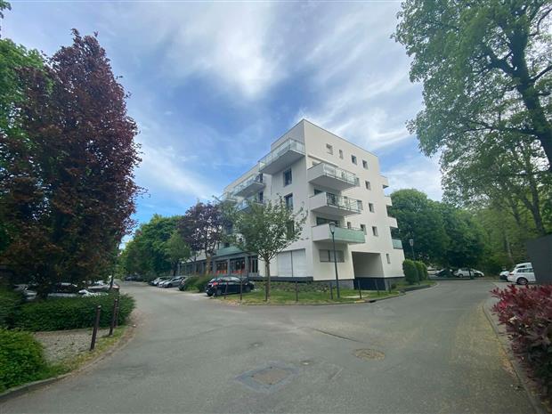 Chargement de l'image...